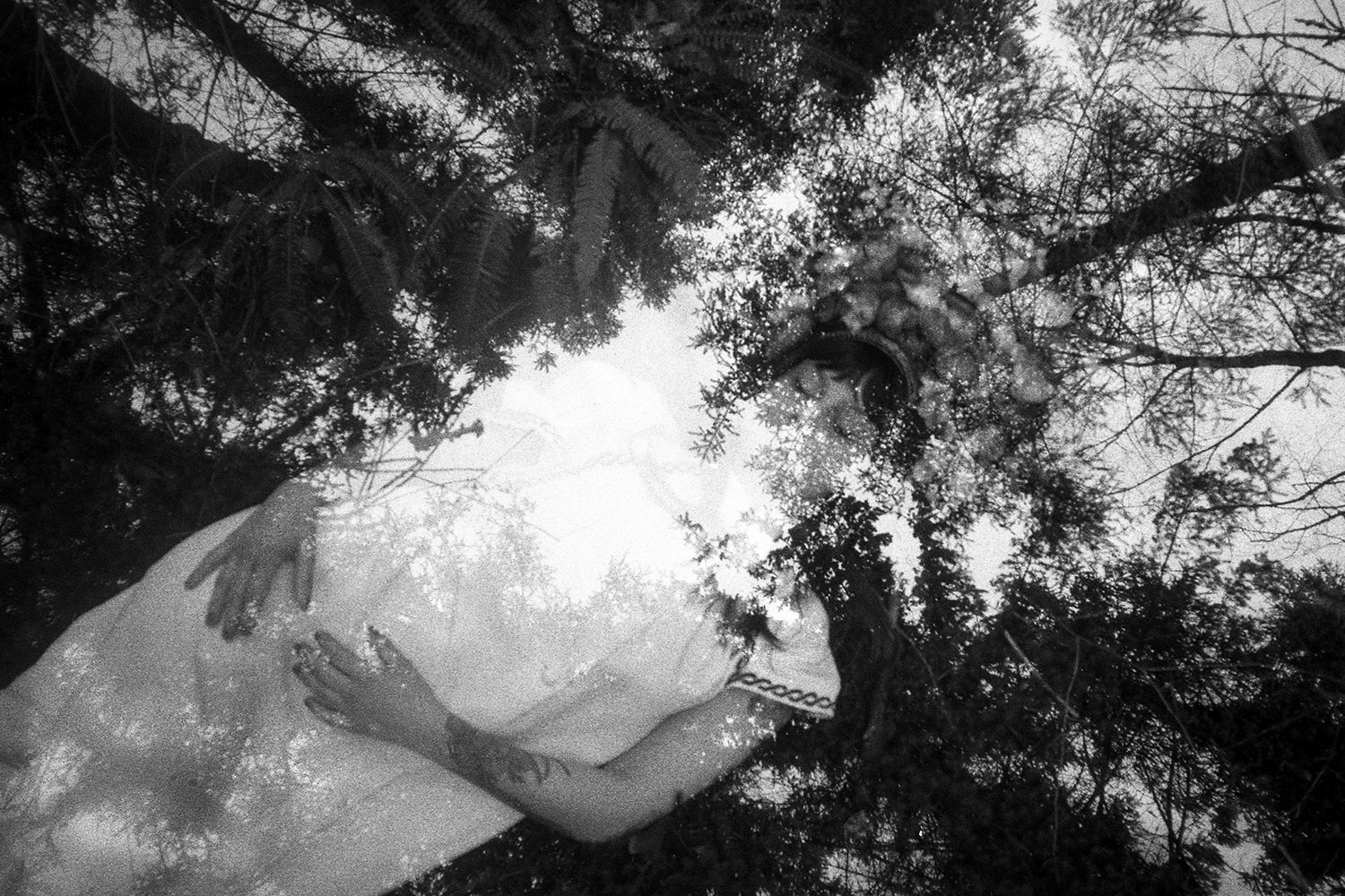  MIROIR SAUVAGE